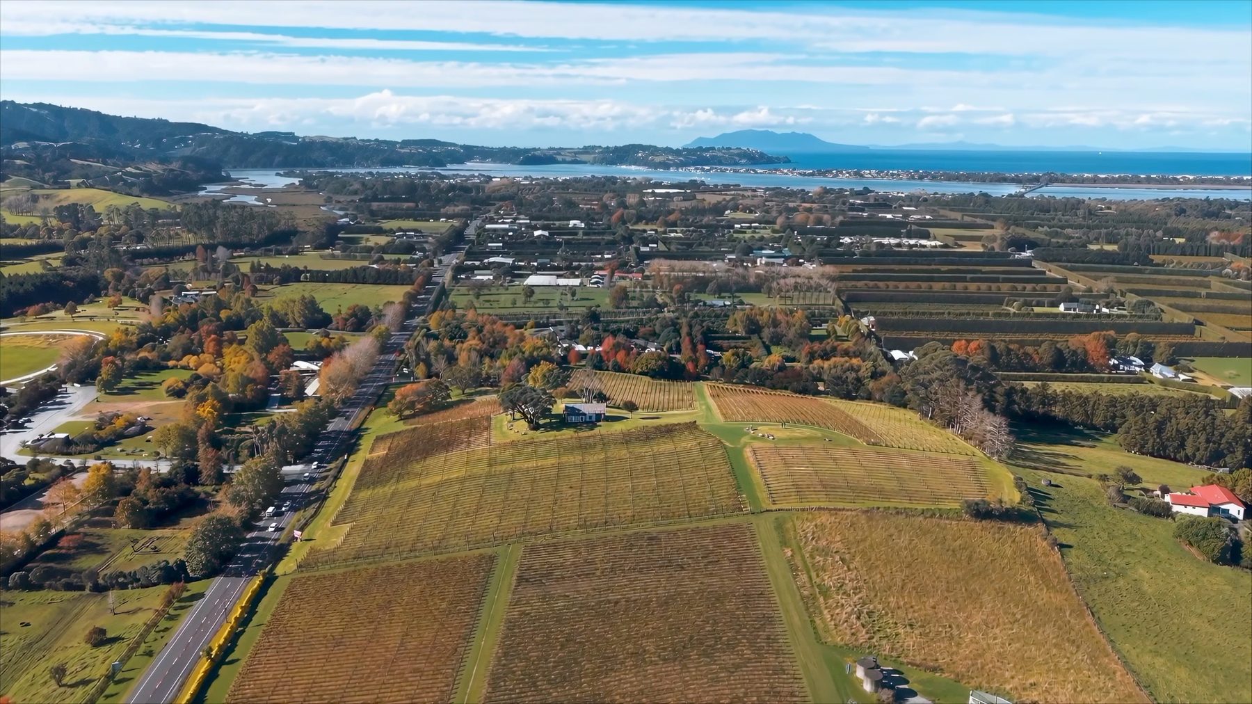 Aerial view over Sculptureum vineyard toward Matakana village and the coast, 40 Omaha Flats Road