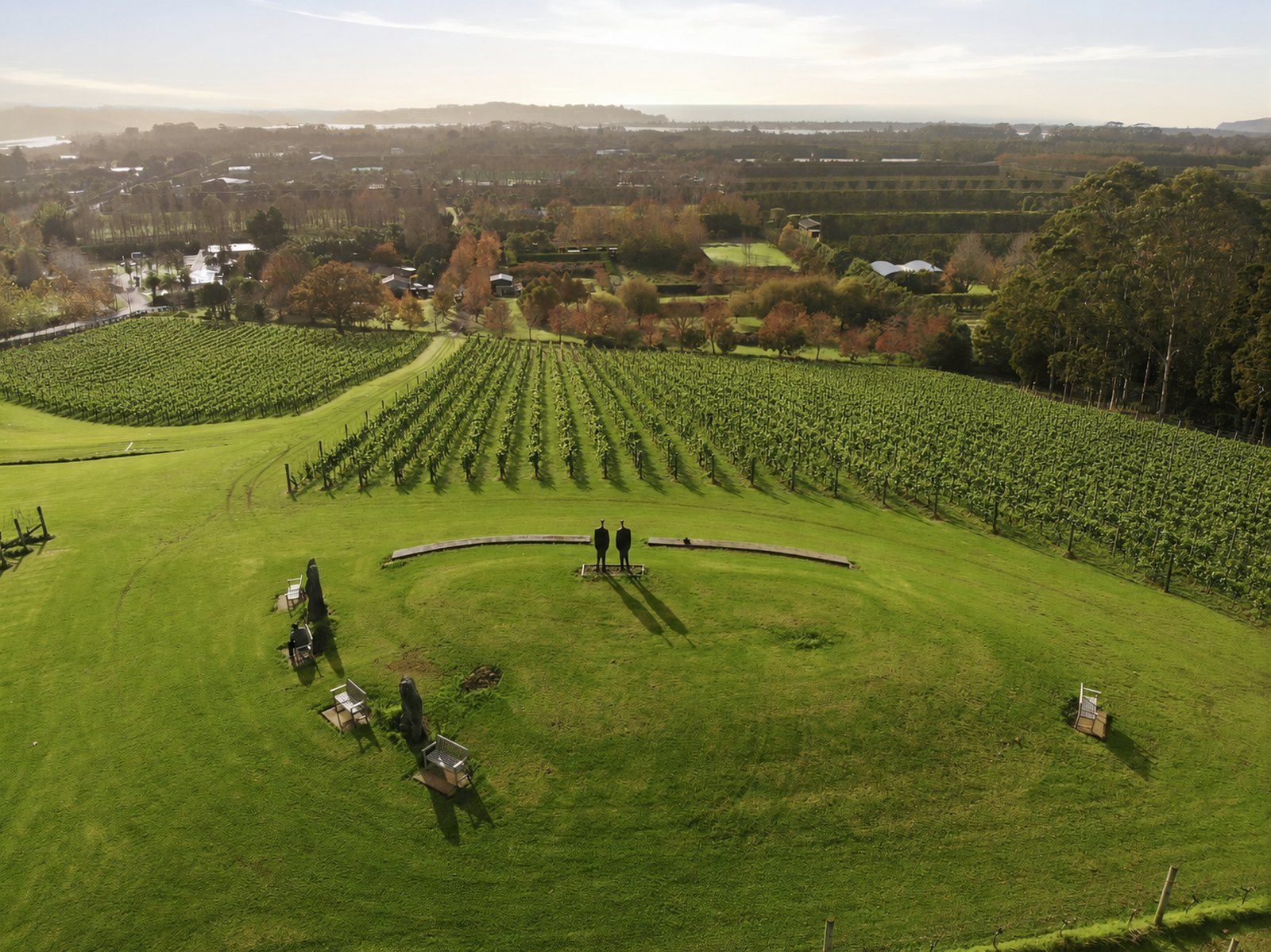 Aerial view over the Sculptureum vineyard and sculpture lawn toward Omaha